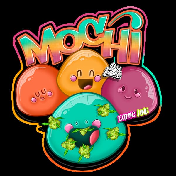 Mochi Seed > Pure Instinto | Feminized Cannabis   |  Indica